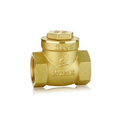 Průmyslový zpětný ventil